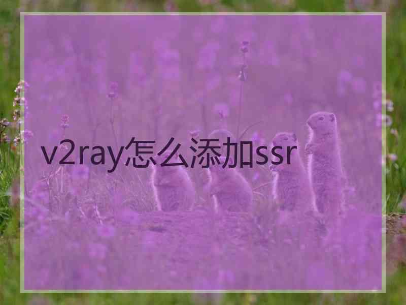 v2ray怎么添加ssr v2ray怎么添加ssr