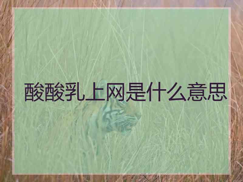 酸酸乳上网是什么意思 酸酸乳上网是什么意思