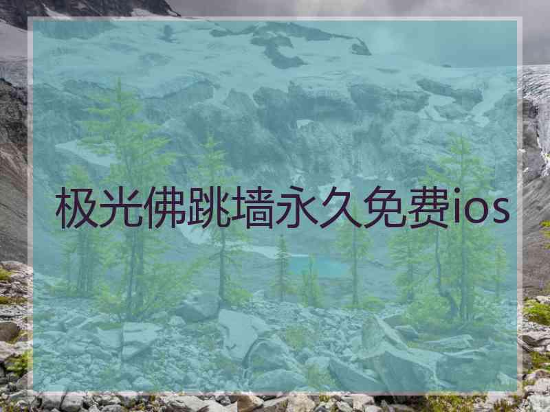 极光佛跳墙永久免费ios 极光佛跳墙永久免费ios