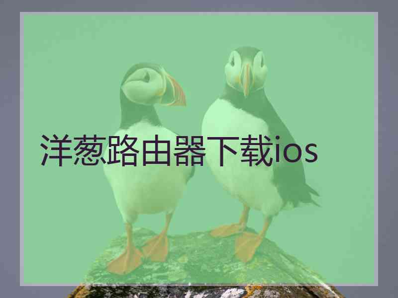 洋葱路由器下载ios 洋葱路由器下载ios