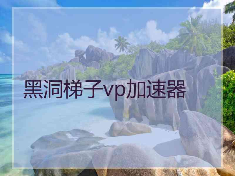 黑洞梯子vp加速器 黑洞梯子vp加速器
