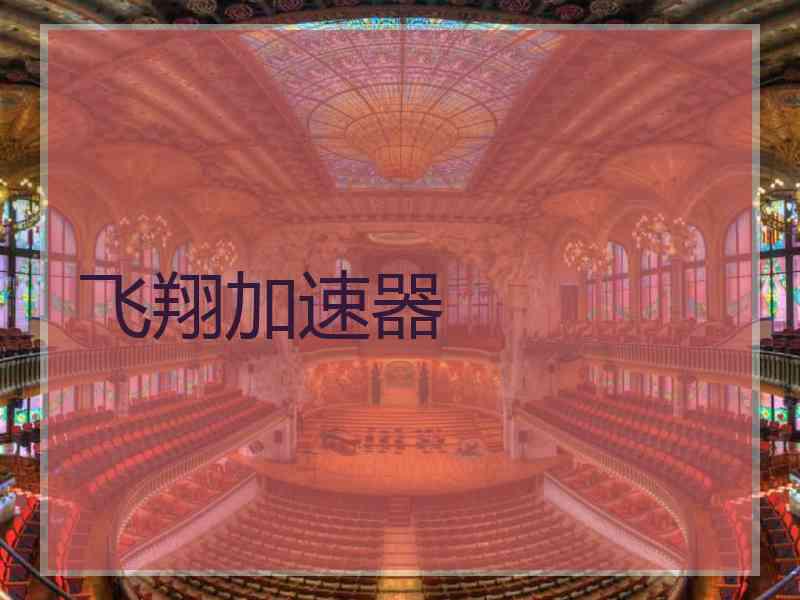 飞翔加速器 飞翔加速器