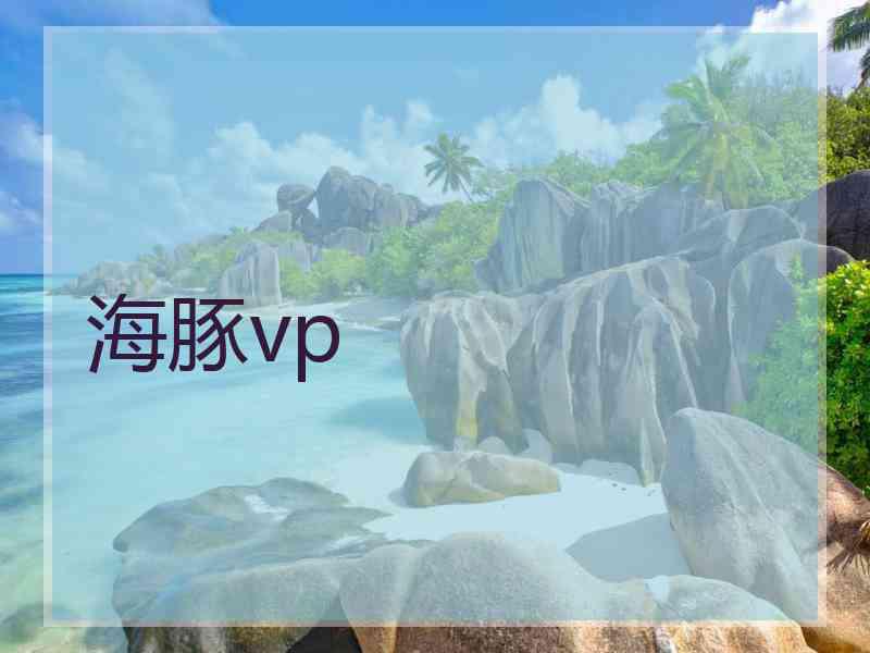 海豚vp 海豚vp
