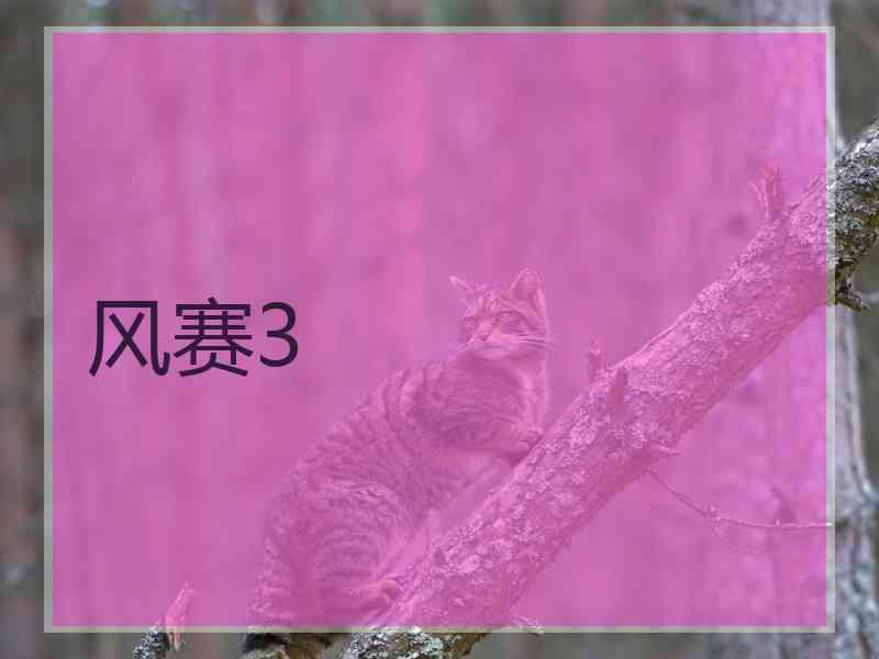 风赛3 风赛3