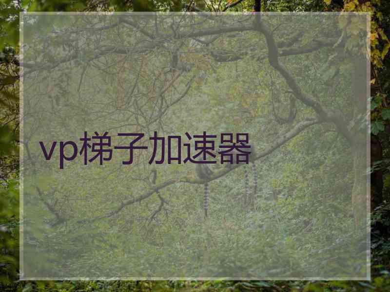vp梯子加速器 vp梯子加速器