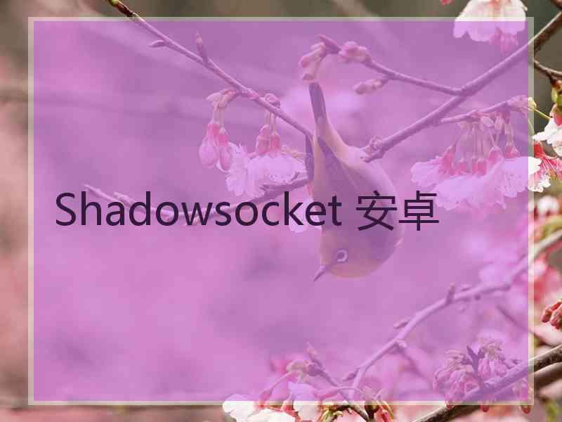 Shadowsocket 安卓 Shadowsocket 安卓
