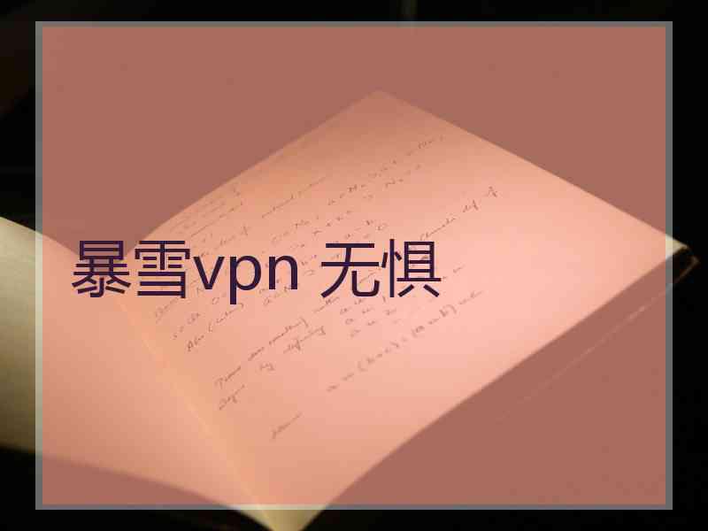 暴雪vpn 无惧 暴雪vpn 无惧