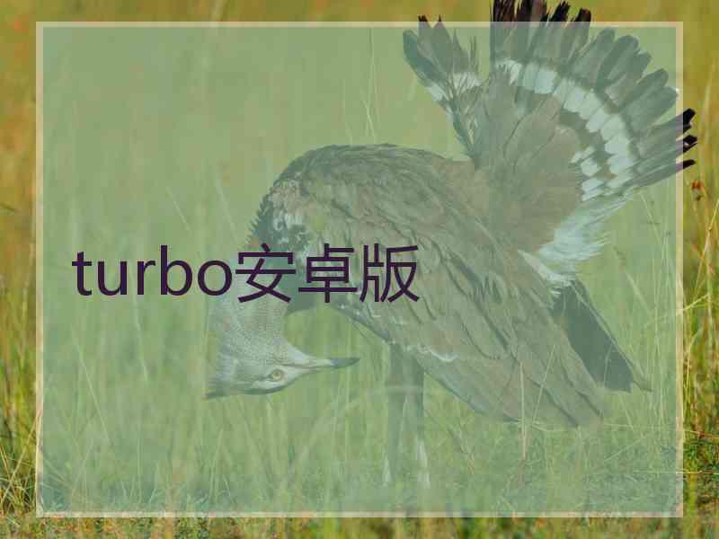 turbo安卓版 turbo安卓版