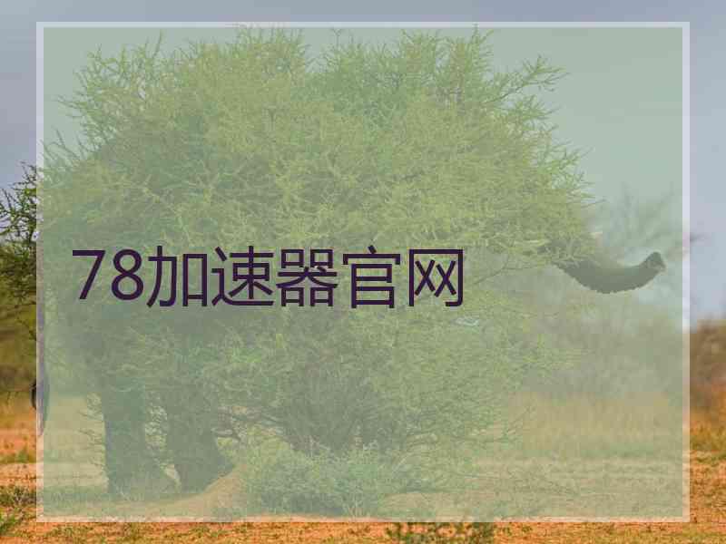 78加速器官网 78加速器官网