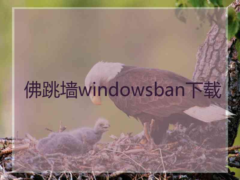 佛跳墙windowsban下载 佛跳墙windowsban下载
