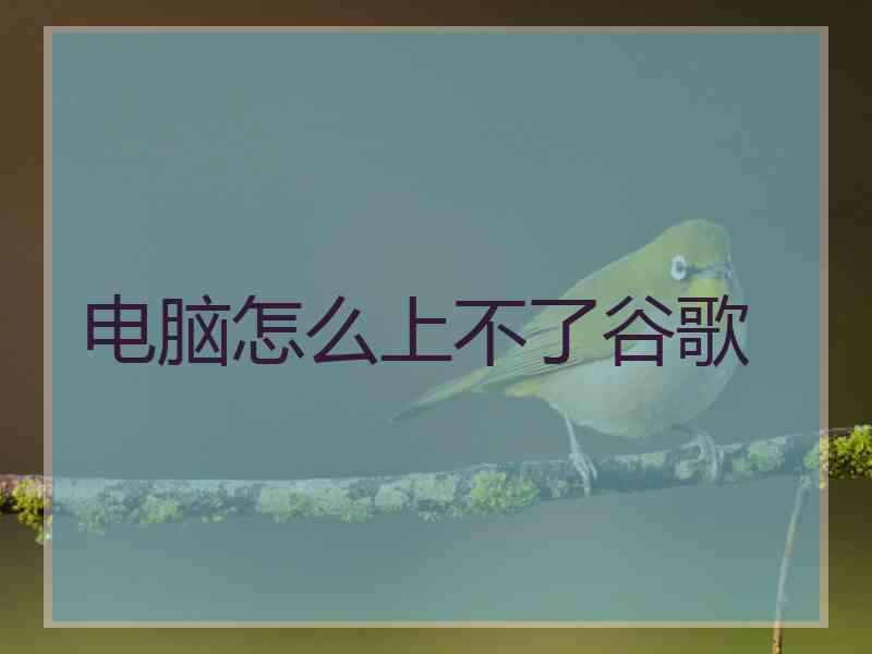 电脑怎么上不了谷歌 电脑怎么上不了谷歌