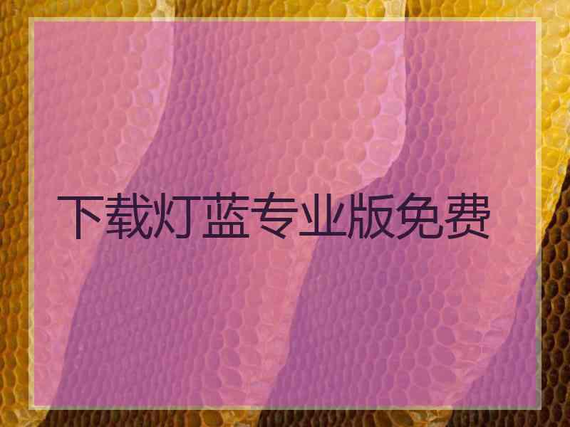 下载灯蓝专业版免费 下载灯蓝专业版免费