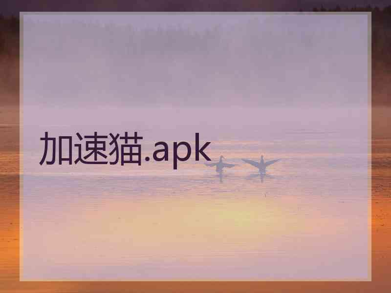 加速猫.apk 加速猫.apk