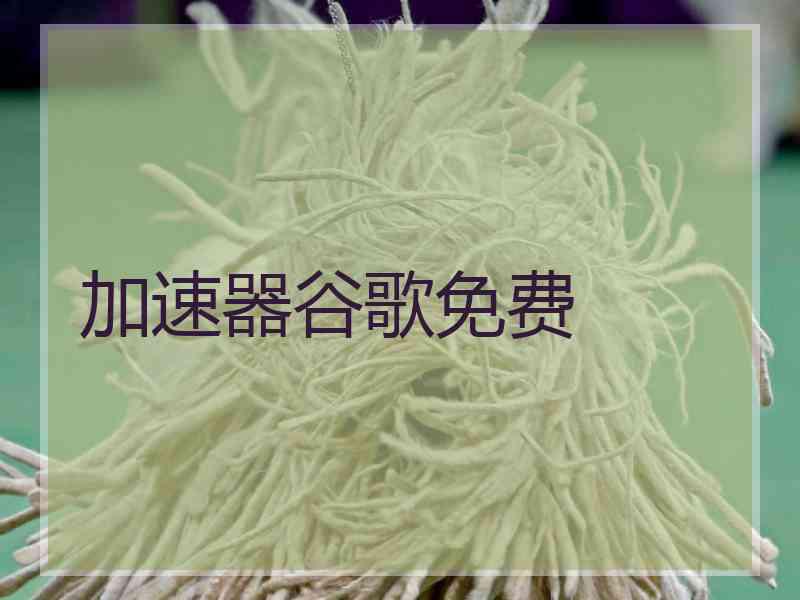 加速器谷歌免费 加速器谷歌免费