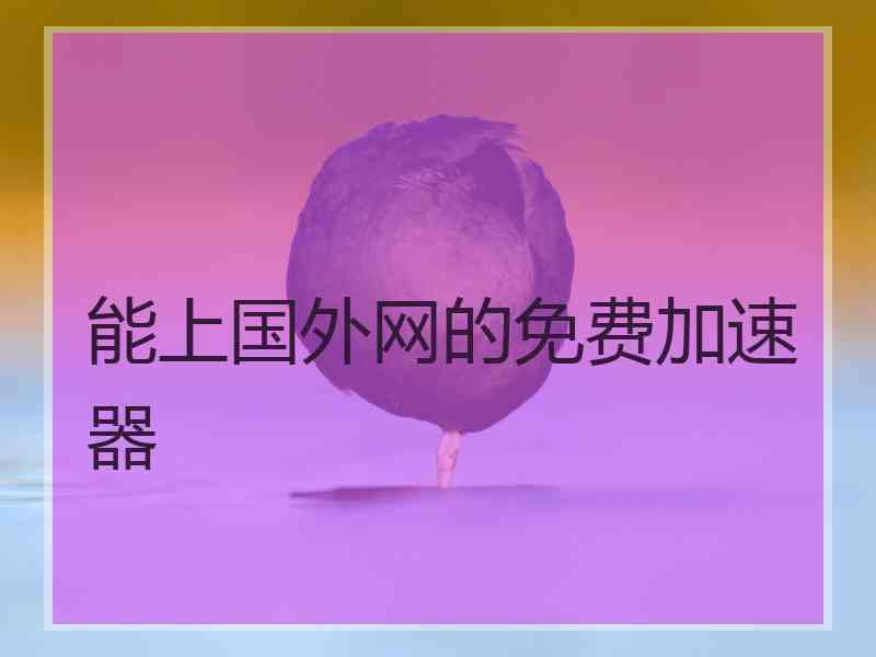能上国外网的免费加速器 能上国外网的免费加速器
