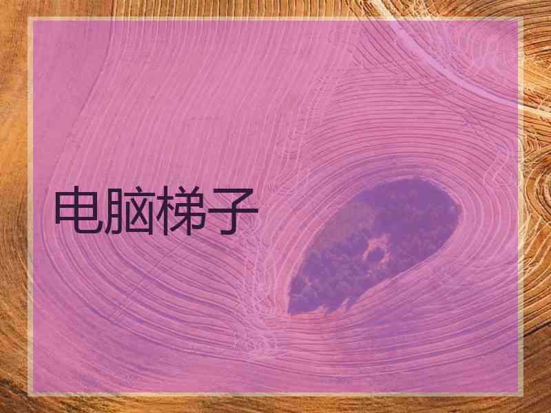 电脑梯子 电脑梯子