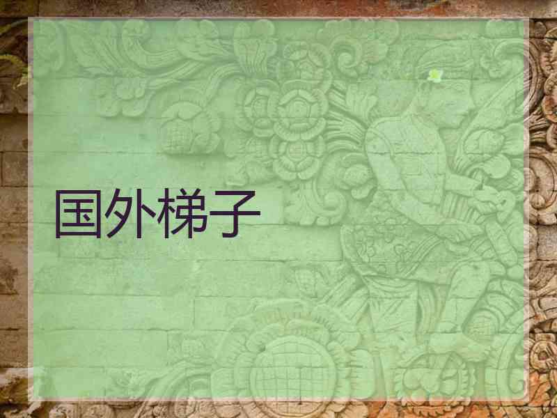 国外梯子 国外梯子