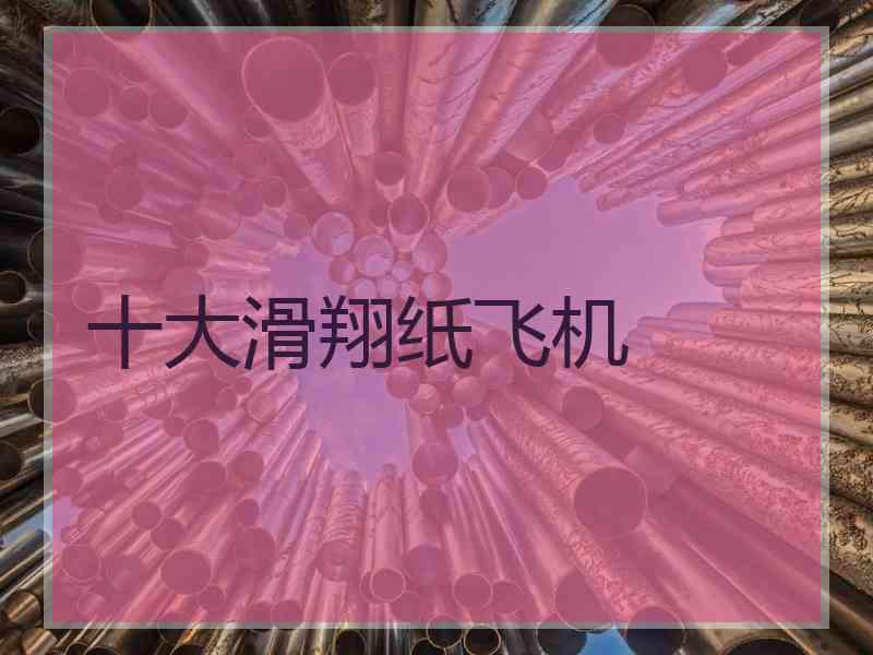 十大滑翔纸飞机 十大滑翔纸飞机