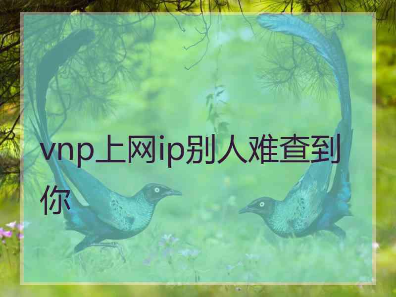 vnp上网ip别人难查到你 vnp上网ip别人难查到你
