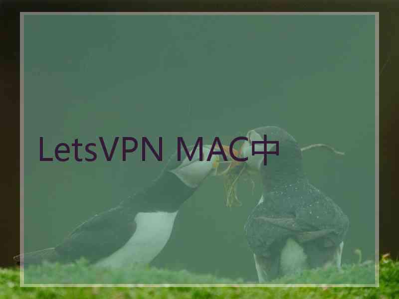 LetsVPN MAC中 LetsVPN MAC中