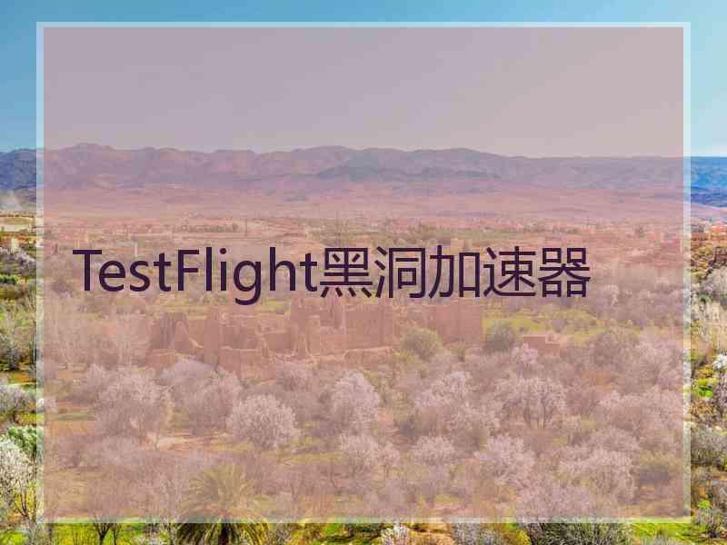 TestFlight黑洞加速器 TestFlight黑洞加速器