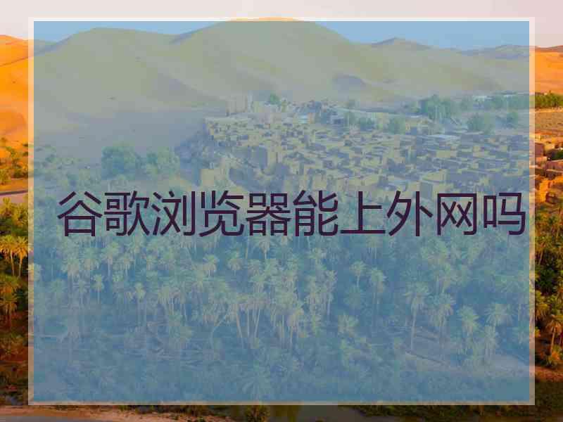 谷歌浏览器能上外网吗 谷歌浏览器能上外网吗