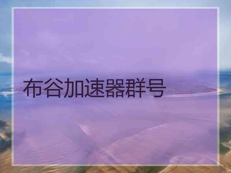 布谷加速器群号 布谷加速器群号