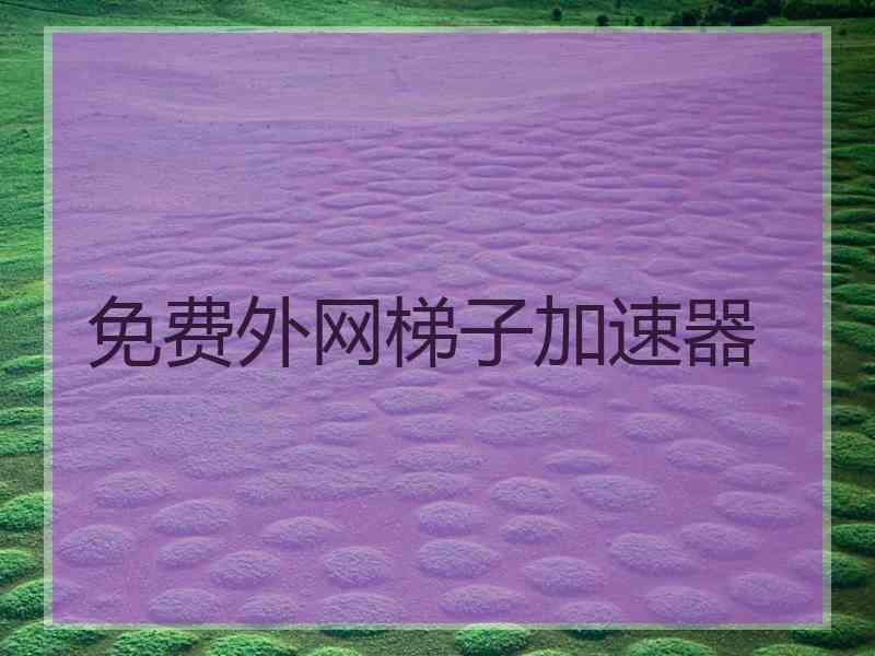 免费外网梯子加速器 免费外网梯子加速器