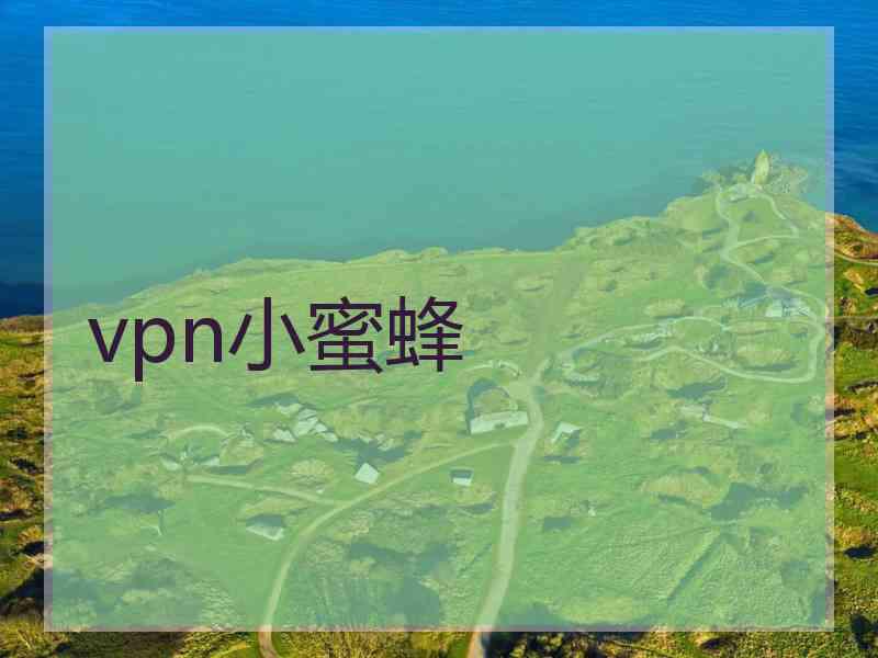 vpn小蜜蜂 vpn小蜜蜂