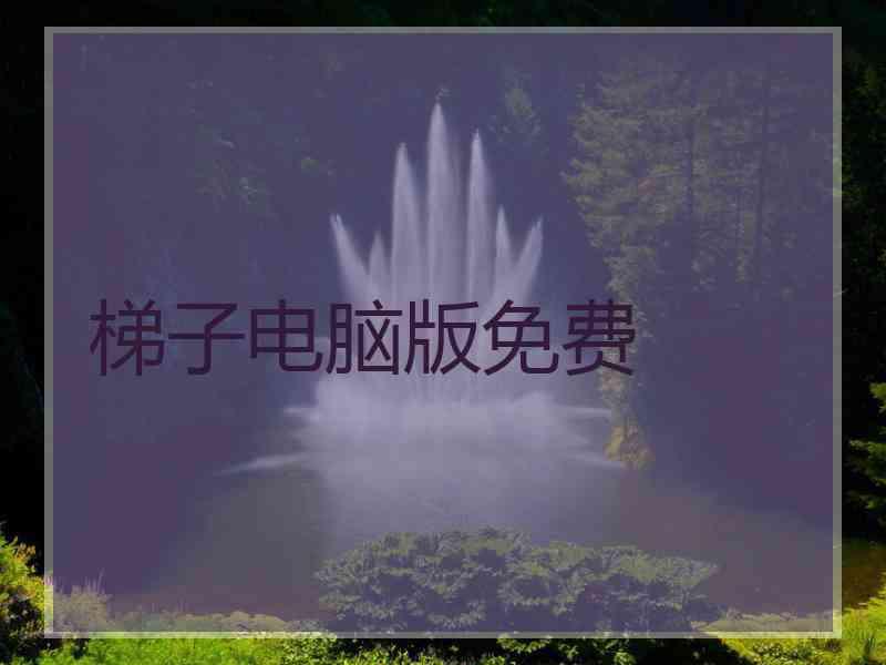 梯子电脑版免费