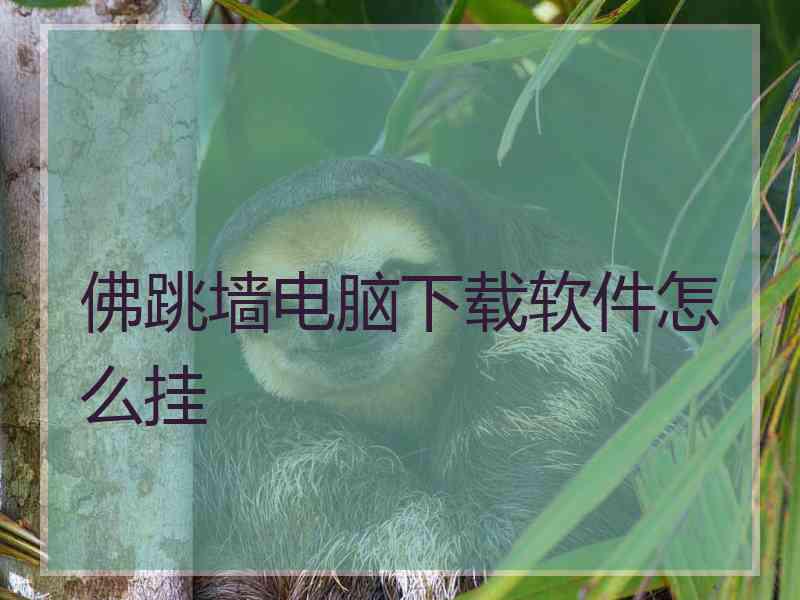 佛跳墙电脑下载软件怎么挂