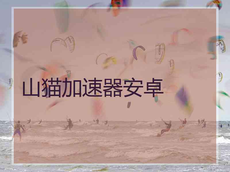 山猫加速器安卓