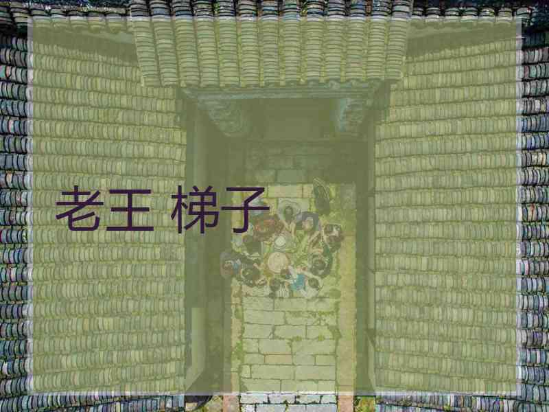 老王 梯子