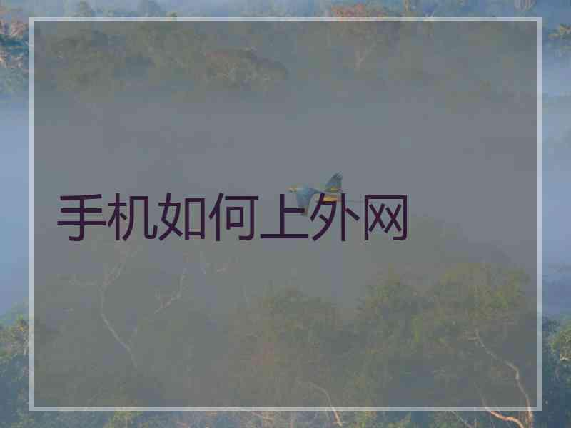 手机如何上外网