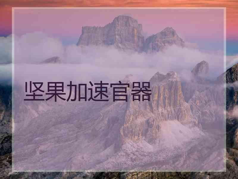 坚果加速官器