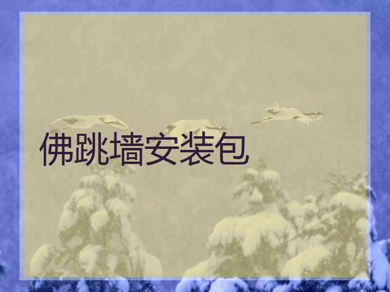 佛跳墙安装包