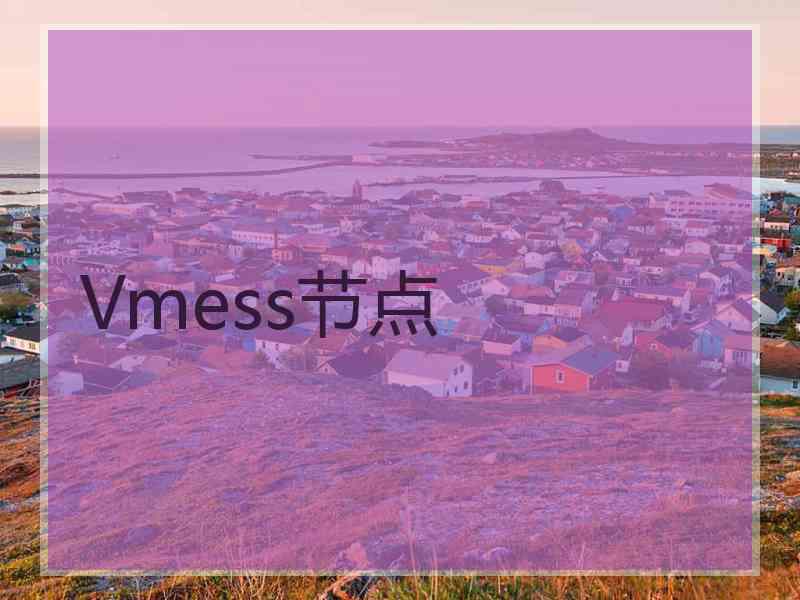 Vmess节点