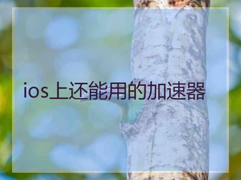 ios上还能用的加速器