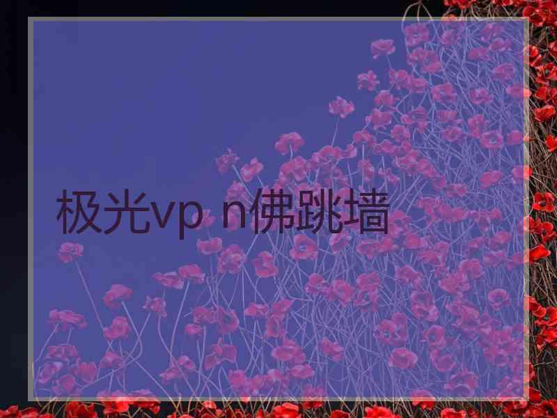 极光vp n佛跳墙