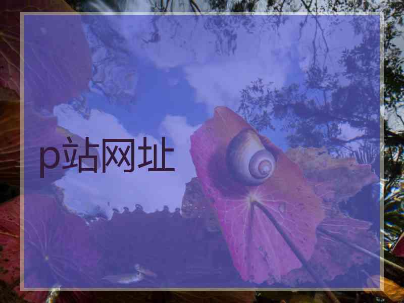 p站网址