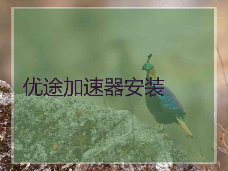 优途加速器安装
