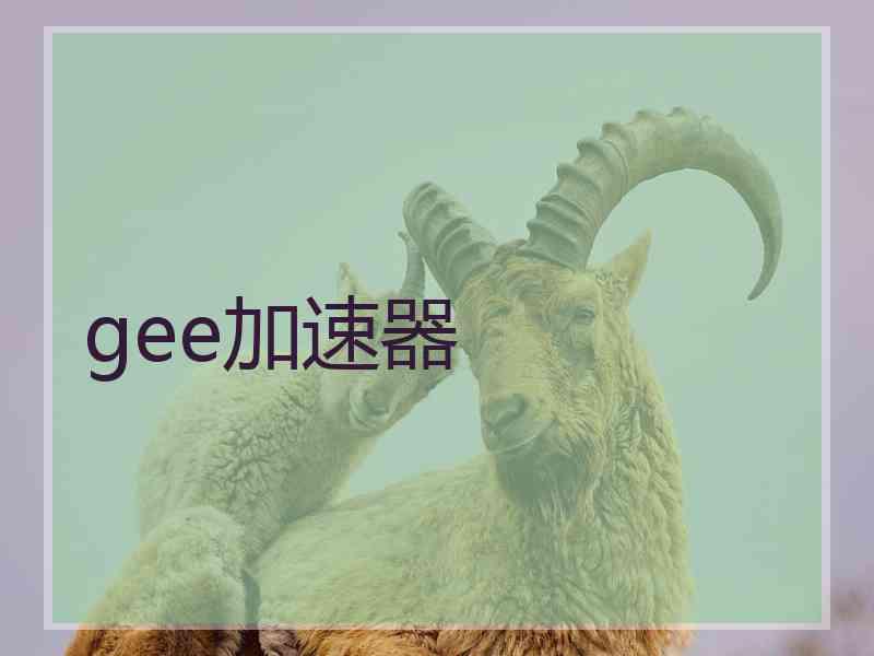 gee加速器