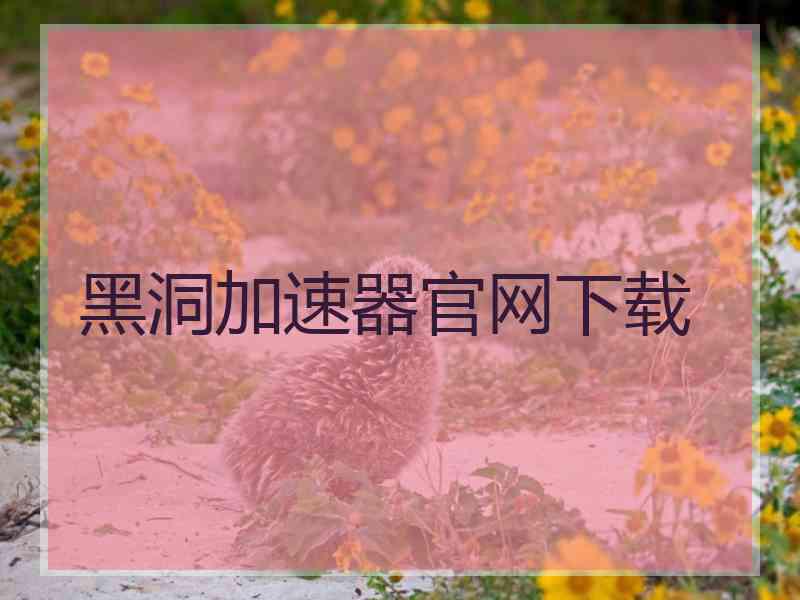 黑洞加速器官网下载