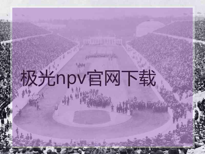极光npv官网下载