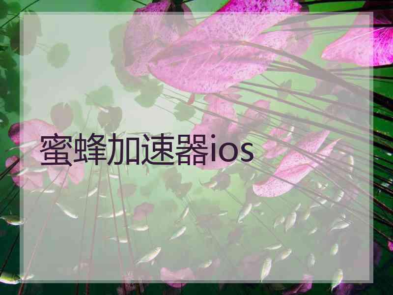 蜜蜂加速器ios