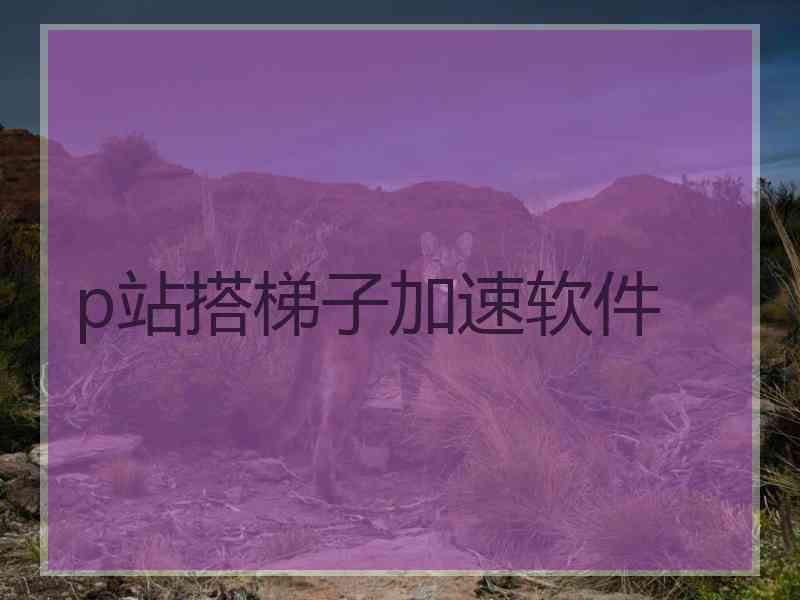 p站搭梯子加速软件