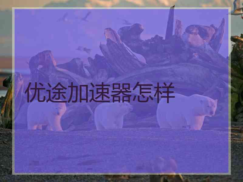 优途加速器怎样