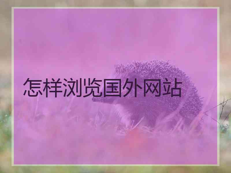 怎样浏览国外网站