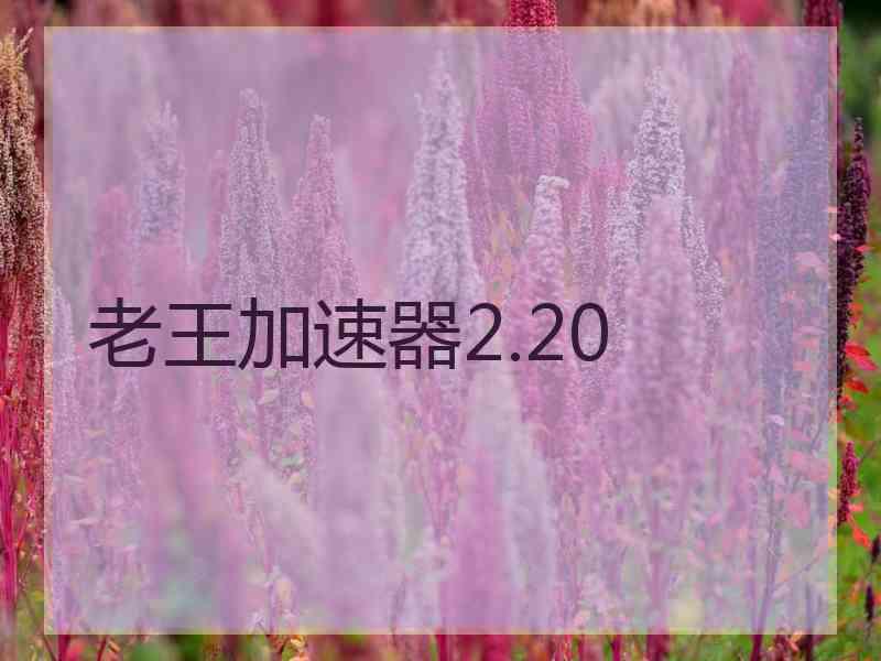 老王加速器2.20