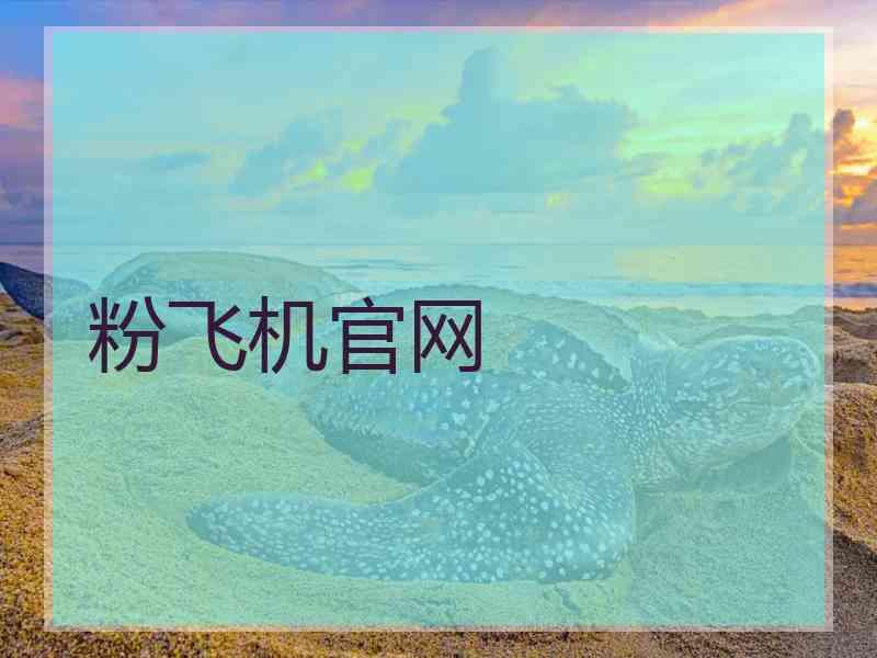 粉飞机官网